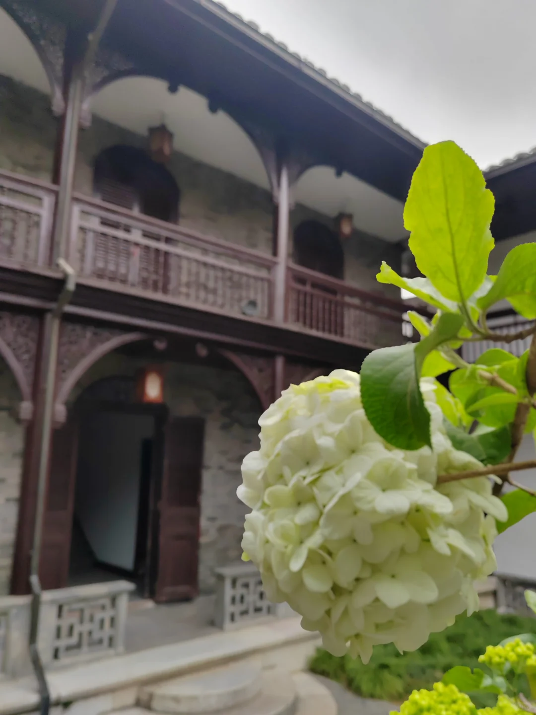 何园花情报告3月29日早7点实拍