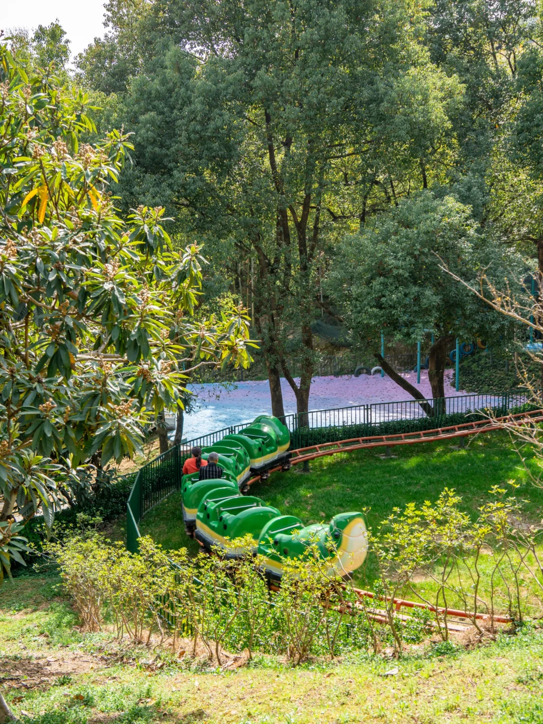 🌸千亩桃花坠入仙境｜城山沟乐园嗨翻天