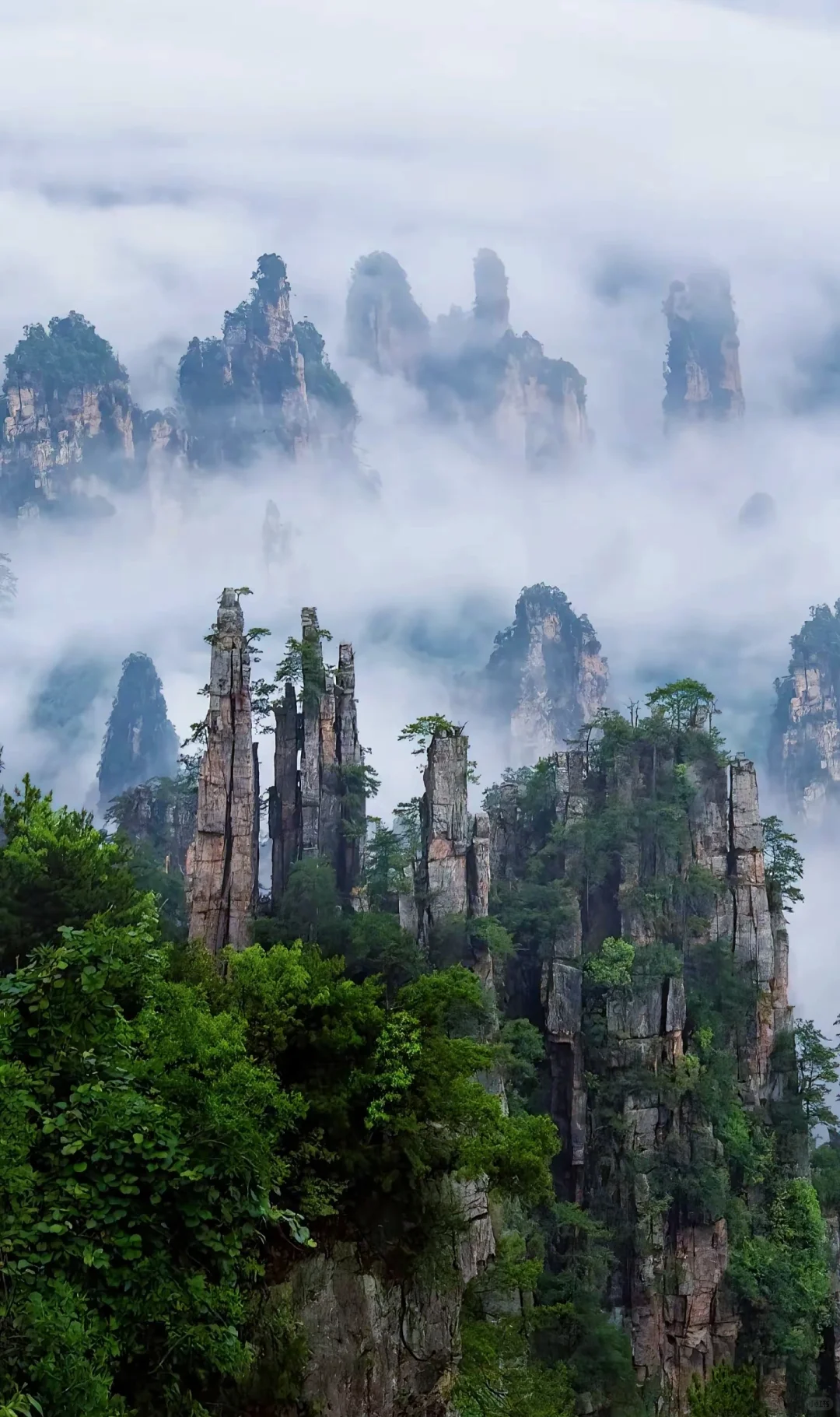 🌄张家界武陵源“人间仙境”🌄