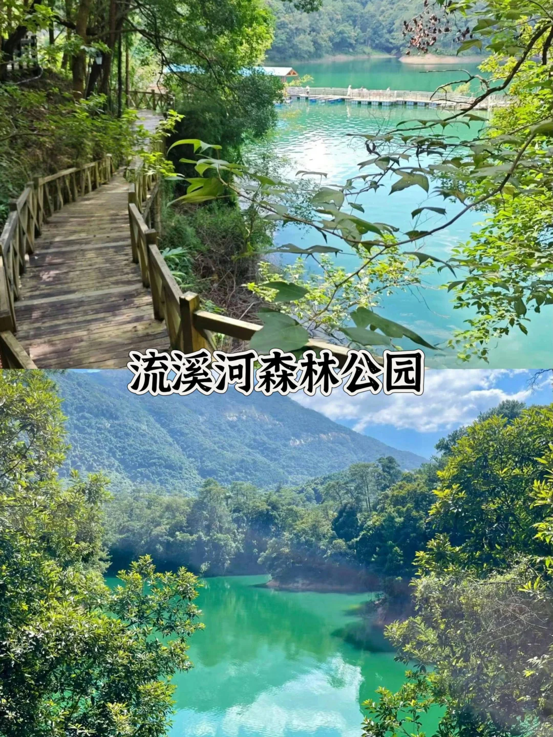 从化必打卡景点|超全面!本地人带你玩转从化