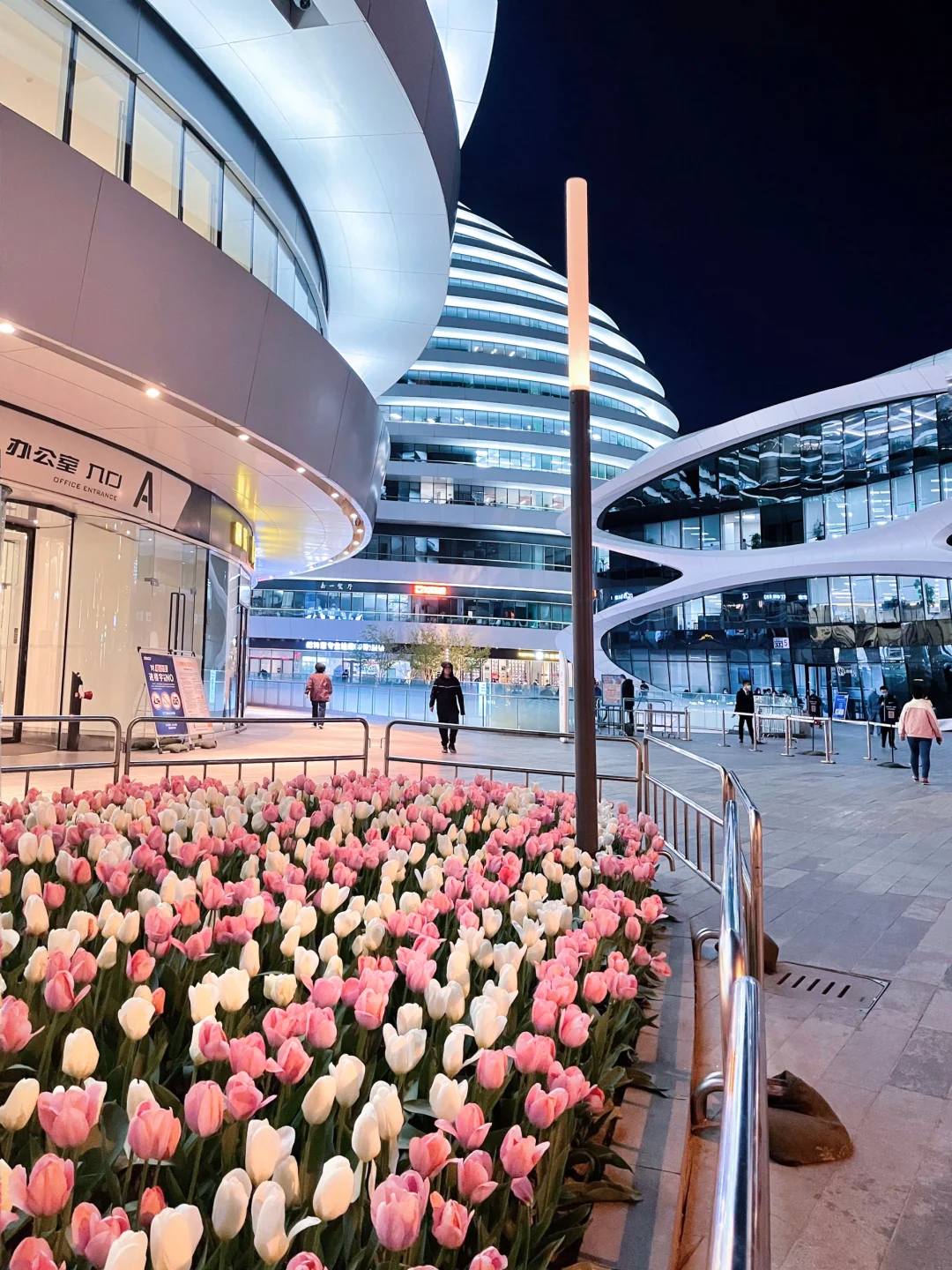 夜游北京🌷4月这里我愿称之郁金香最佳机位