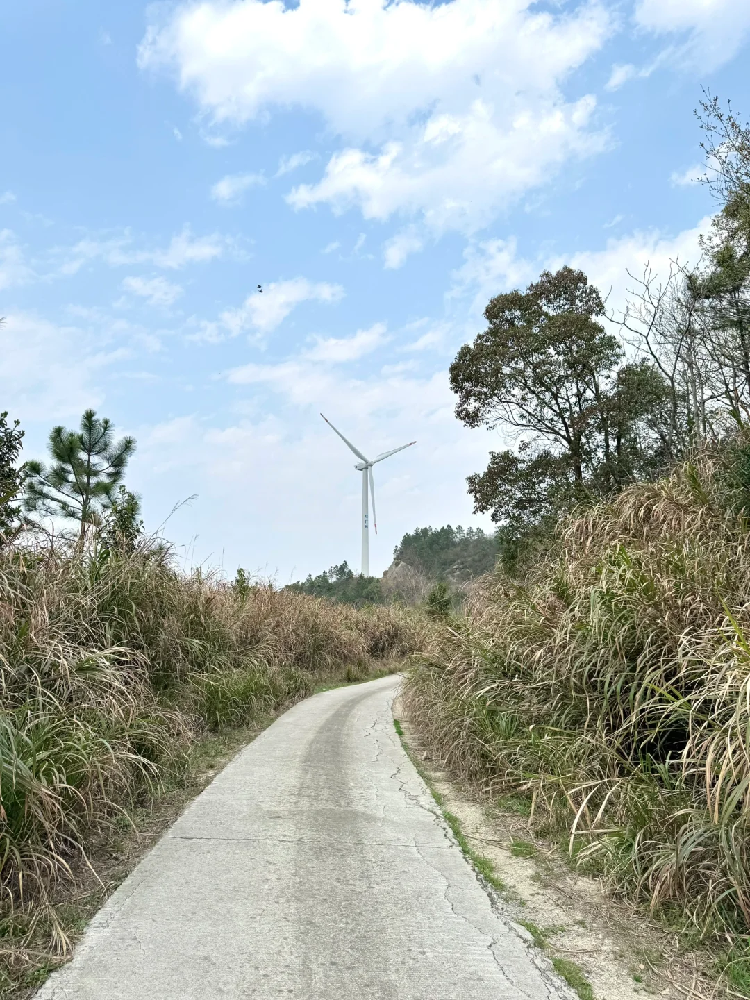 不要太追求小众景点
