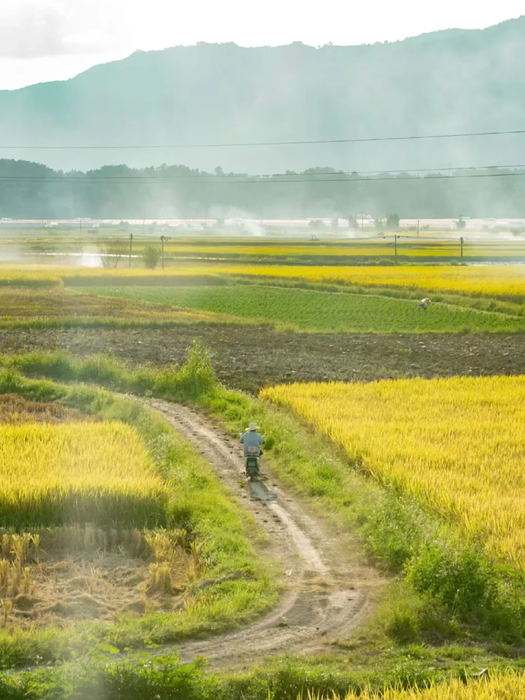 芒市超全3天2晚旅行攻略‼️一点雷没踩