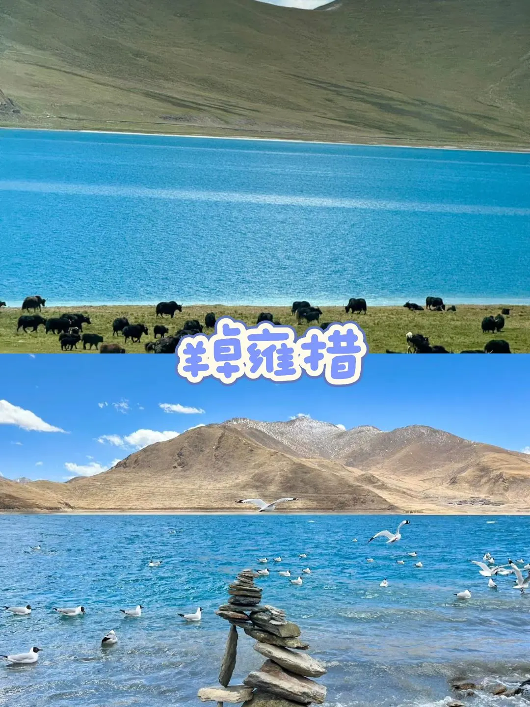 林芝羊湖纳木措❗4日纯玩西藏之旅攻略