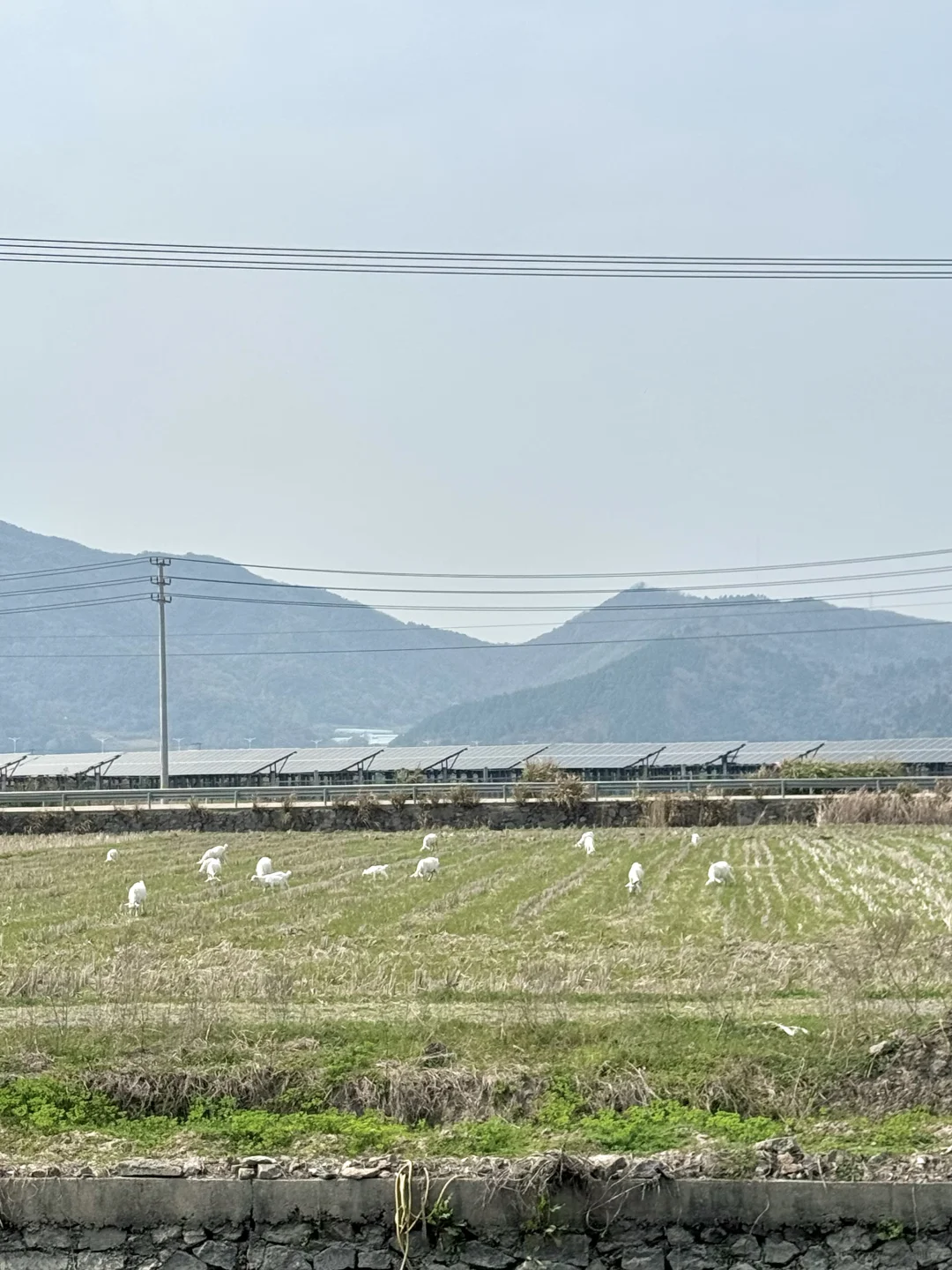 不要太追求小众景点
