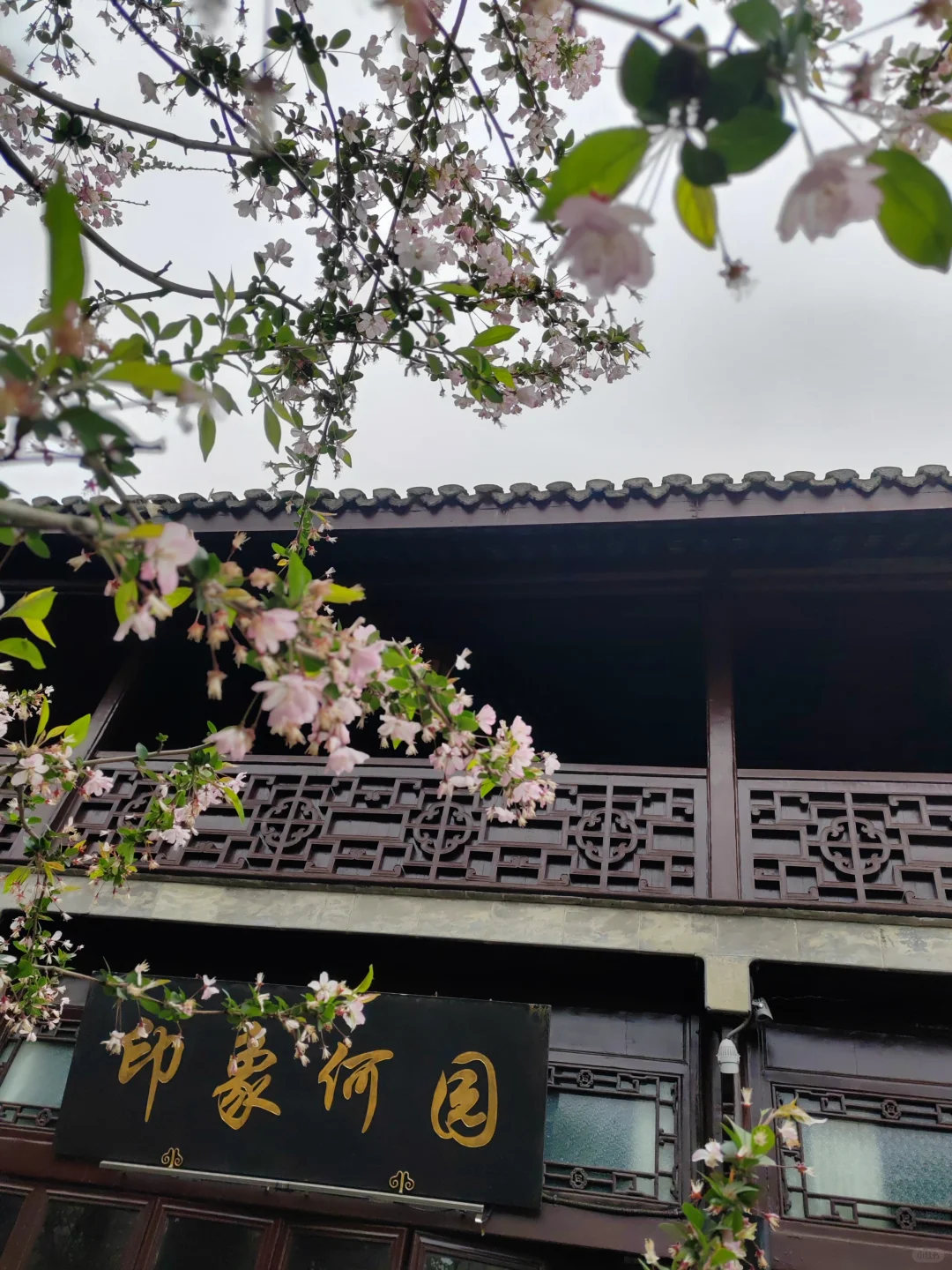 何园花情报告3月29日早7点实拍