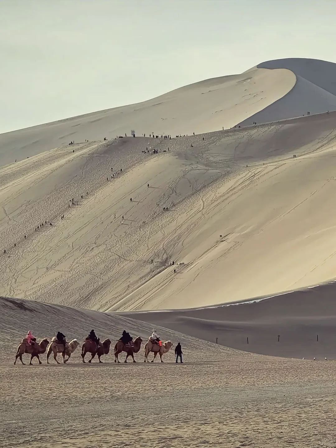 鸣沙山📍淡季刚回来！会惩罚不做攻略的人