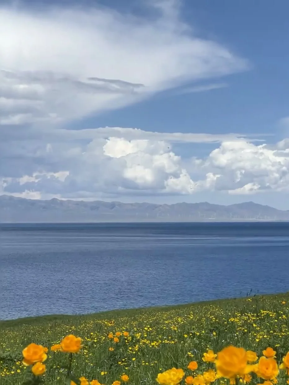 💬“新疆的辽阔，是连风都自由的地方。”