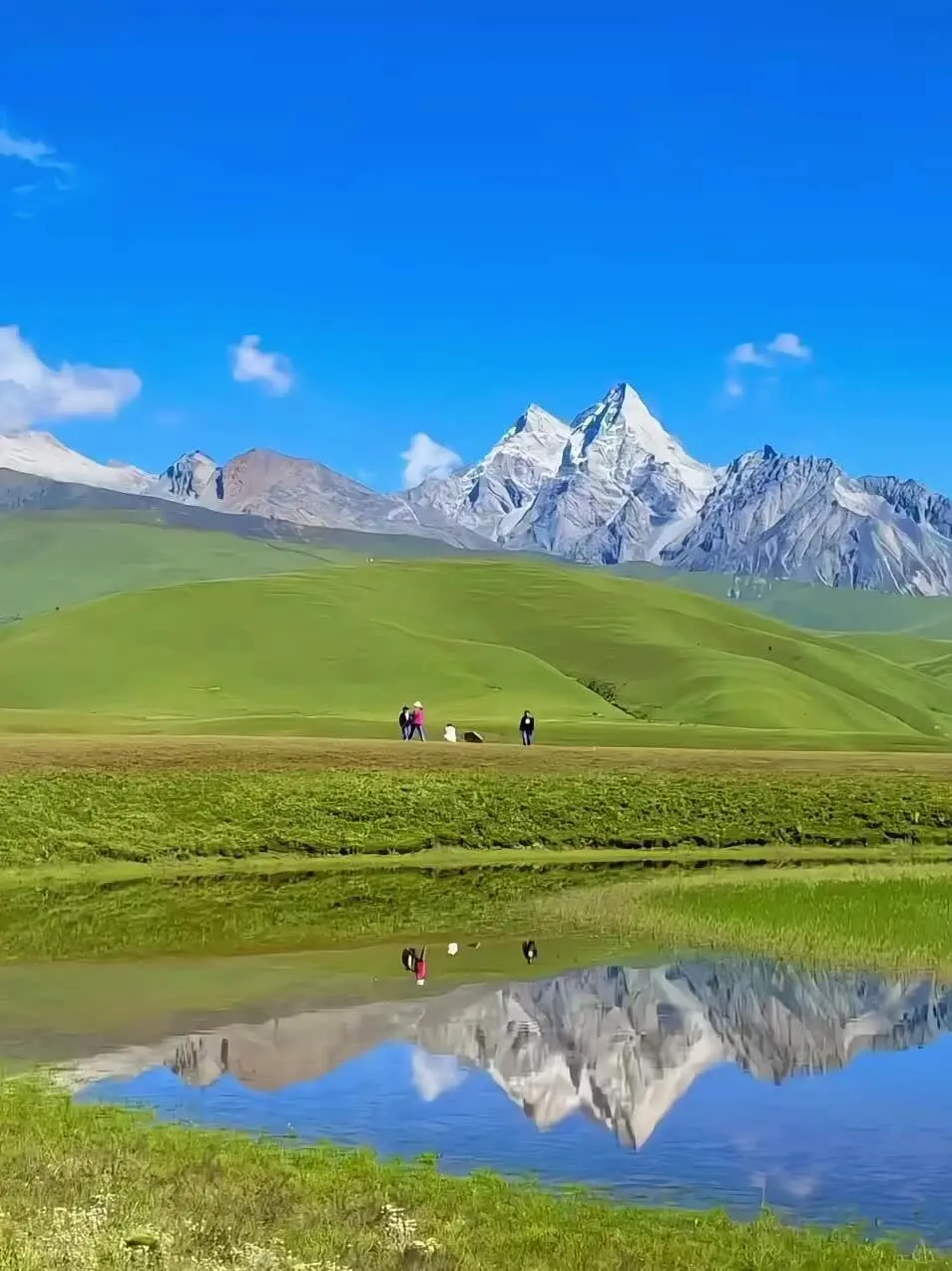 真不是瑞士!川西的夏天才是人间绝美