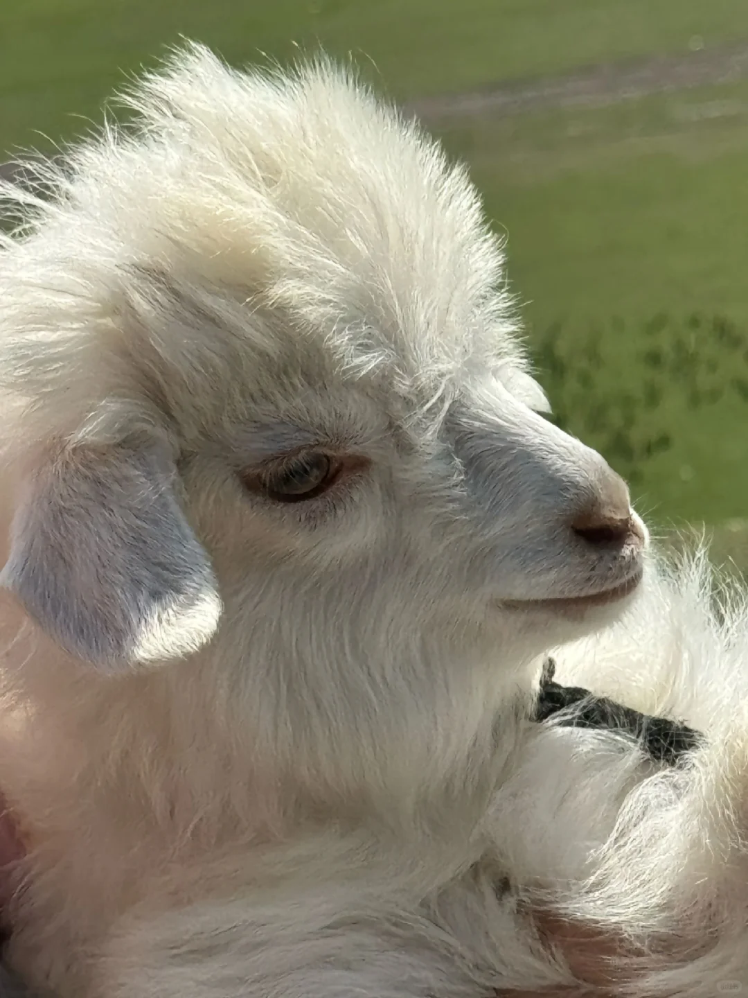 🚗《国家地理》评选出50个旅游打卡地🙋