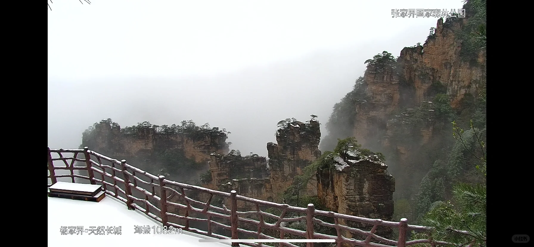张家界景区实况2025年3月29日