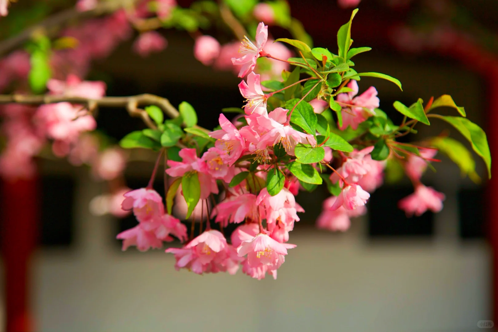 ❤️你好，趵突泉！