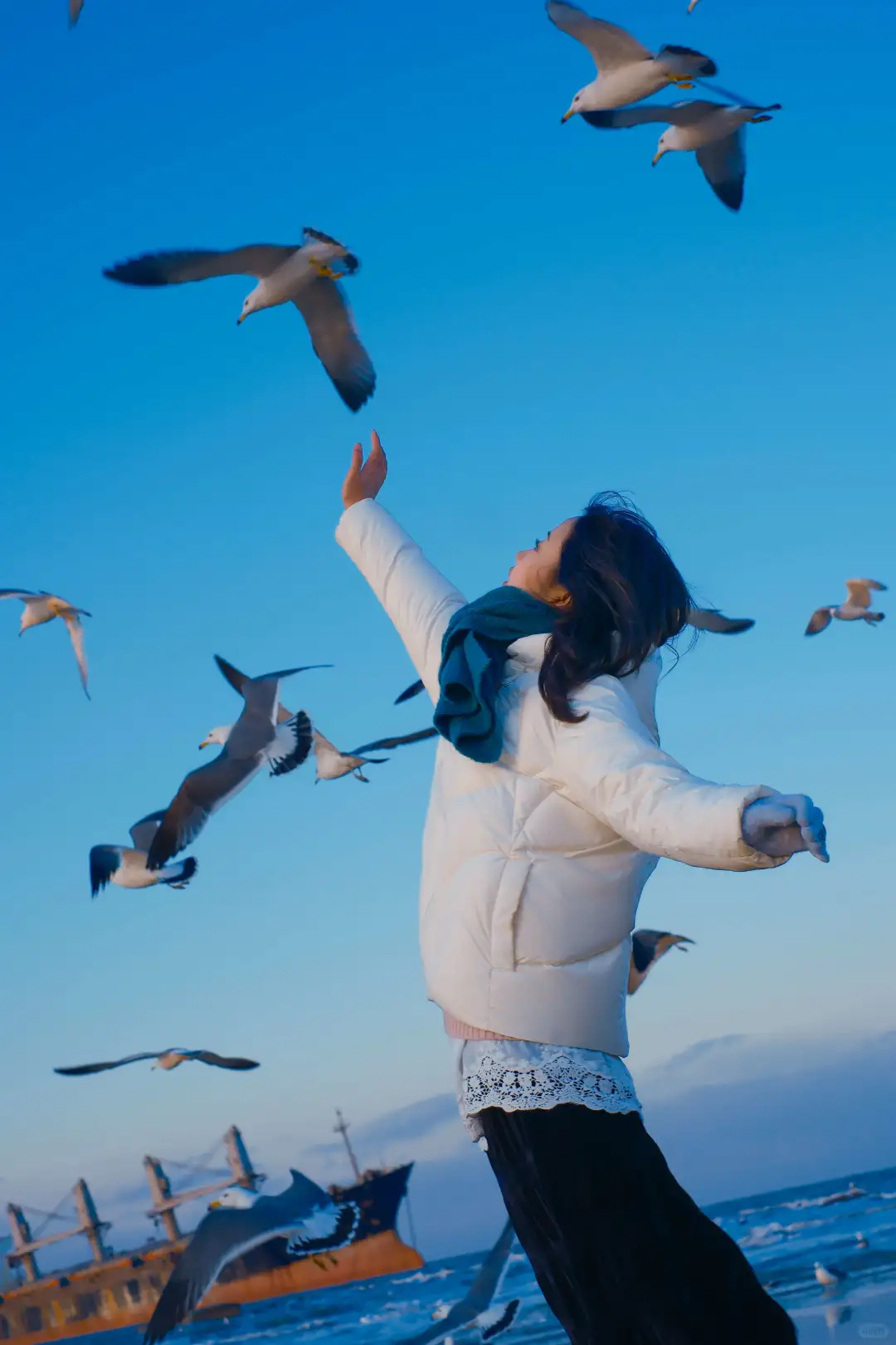 布鲁维斯号 拍照📸