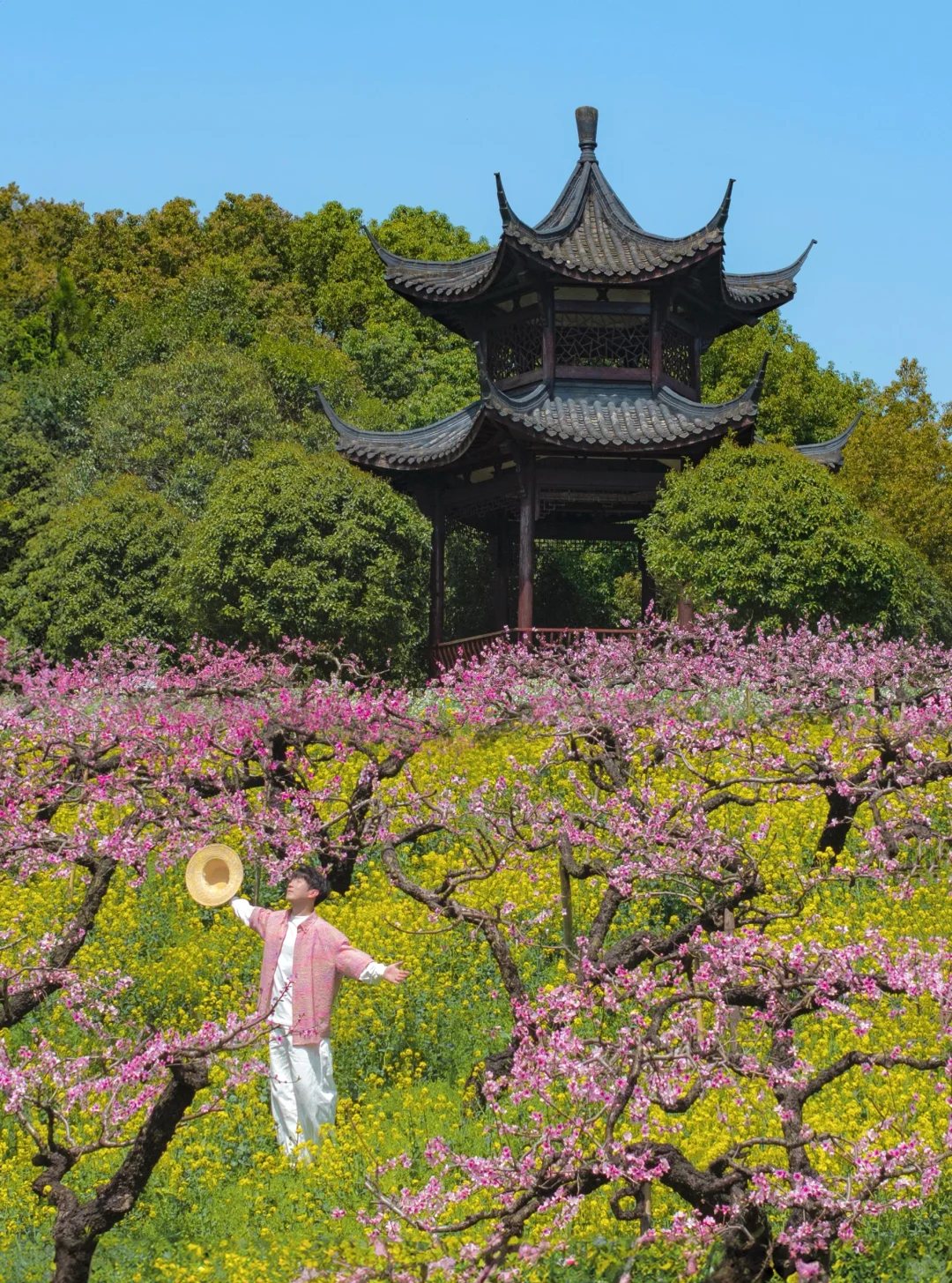 不在婺源，在湖州，坐上开往春天的漫画小火车