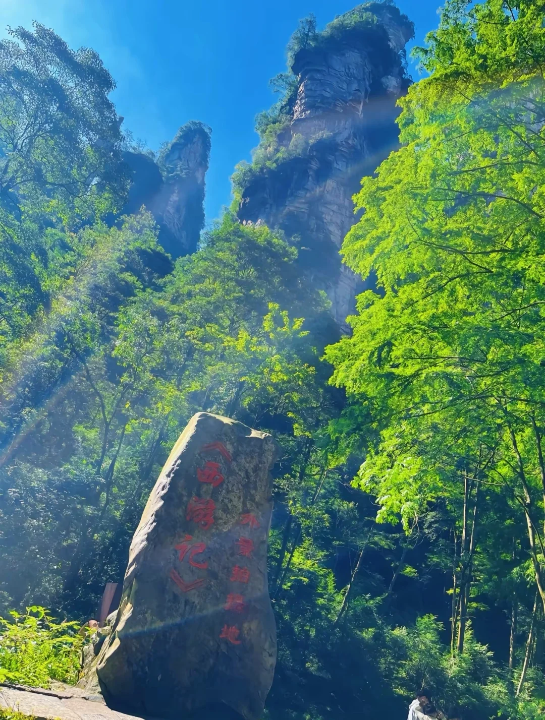 🌄张家界武陵源“人间仙境”🌄