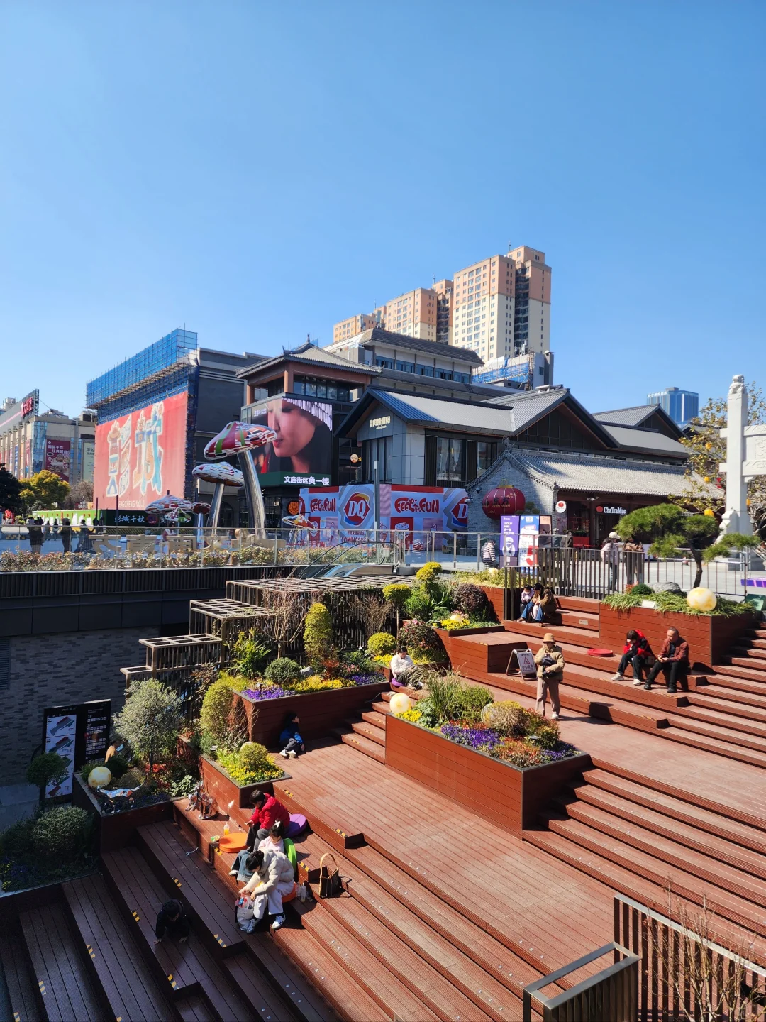 徐州花开这么好看你怎么也不宣传呢