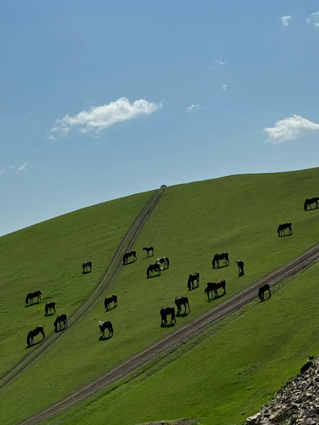 🚗《国家地理》评选出50个旅游打卡地🙋