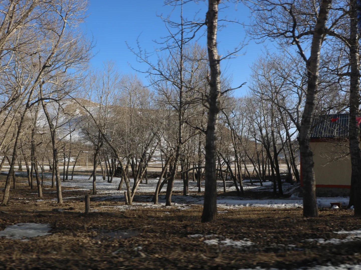 内蒙古太美啦🥰