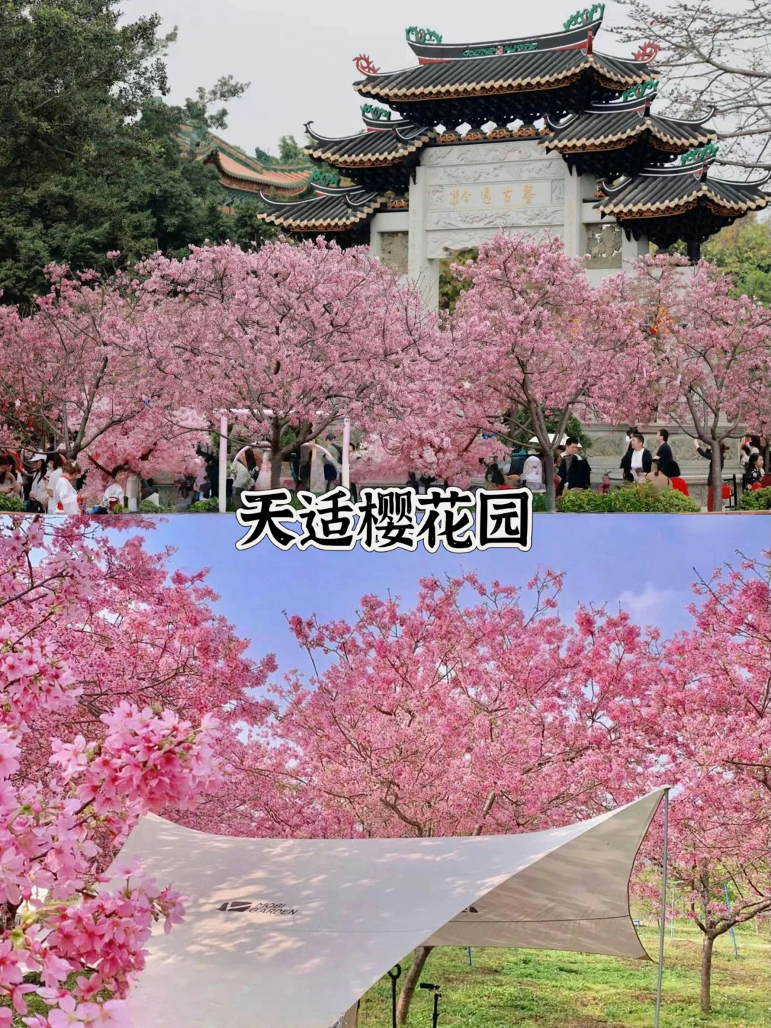 从化必打卡景点|超全面!本地人带你玩转从化