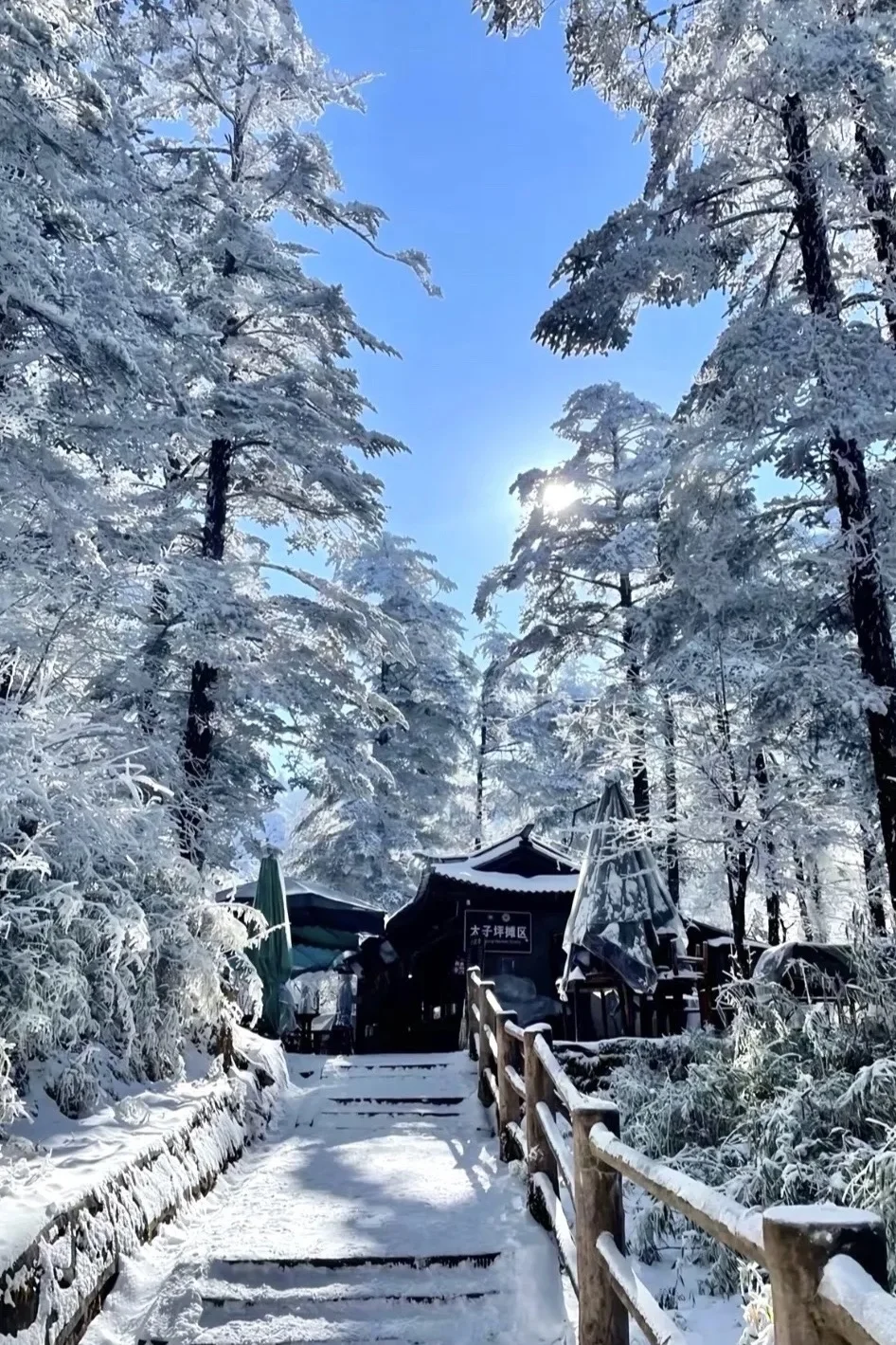 乐山大佛,峨眉山都去了,来听听我的个人感受