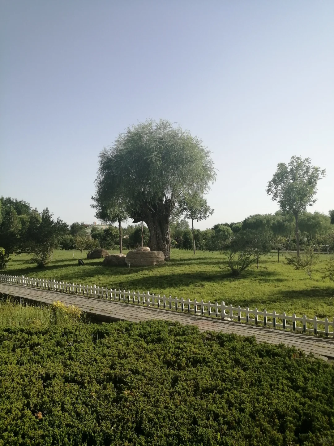 不同季节的奇石山景区