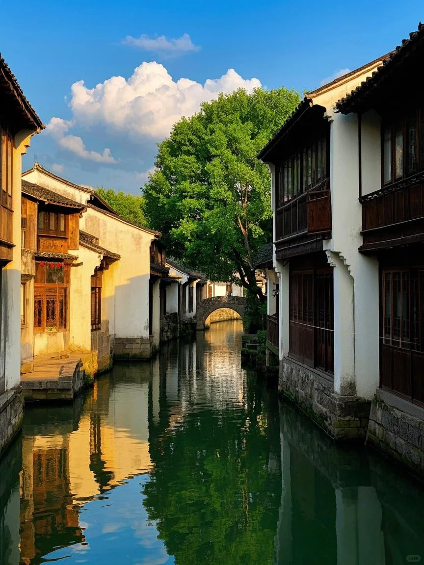 ✨ 乌镇2天1夜攻略 | 江南水乡的浪漫与松弛