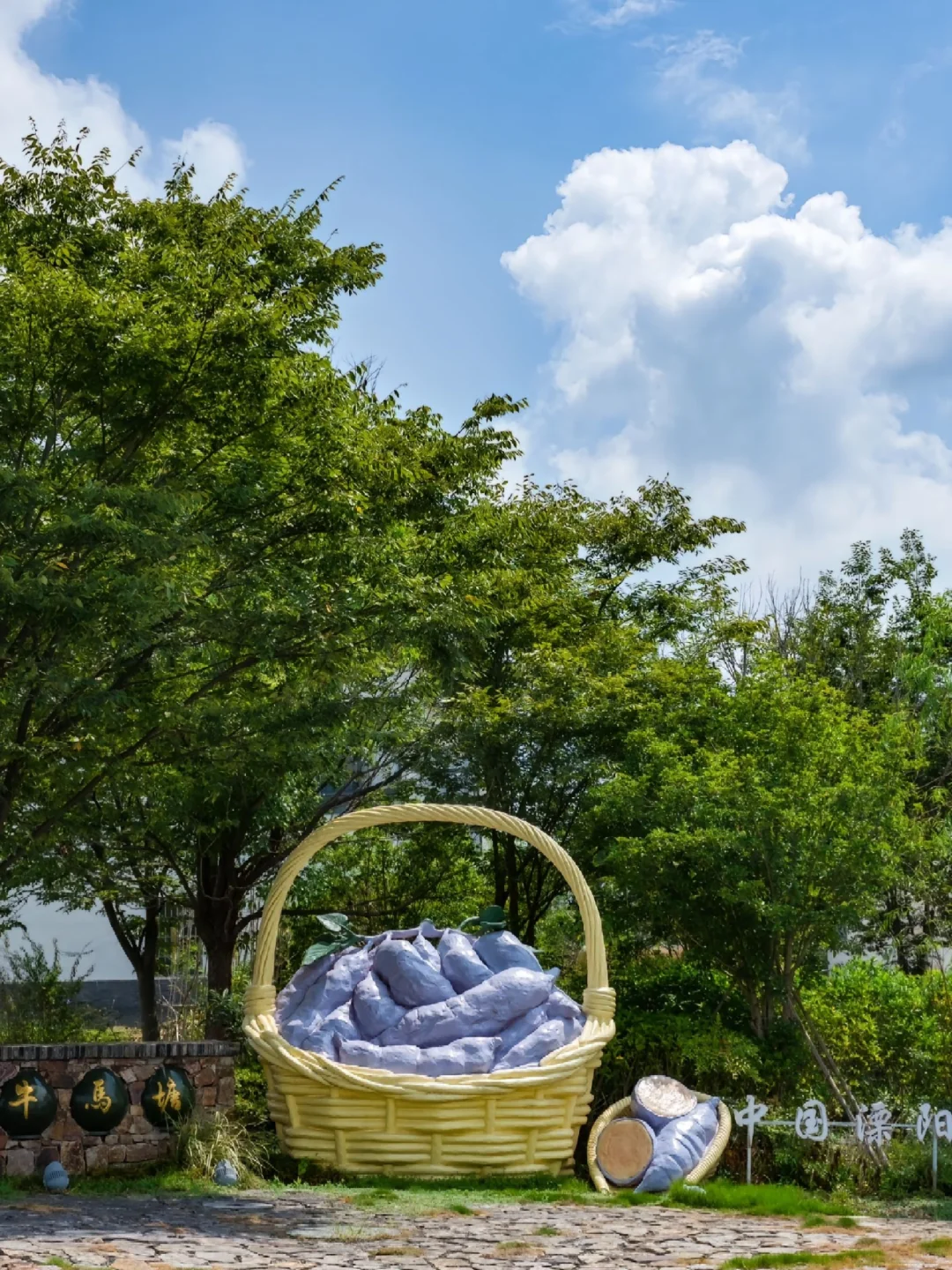 江浙沪周边游|4⃣️条春日路线,周末出发