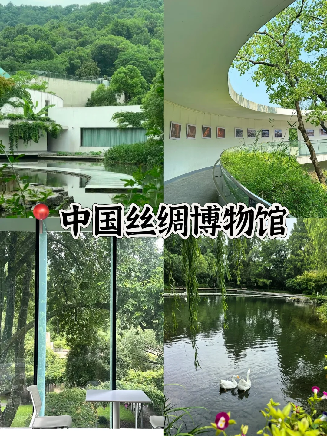 🍃来杭州必打卡🔥的十大景点游玩攻略‼️