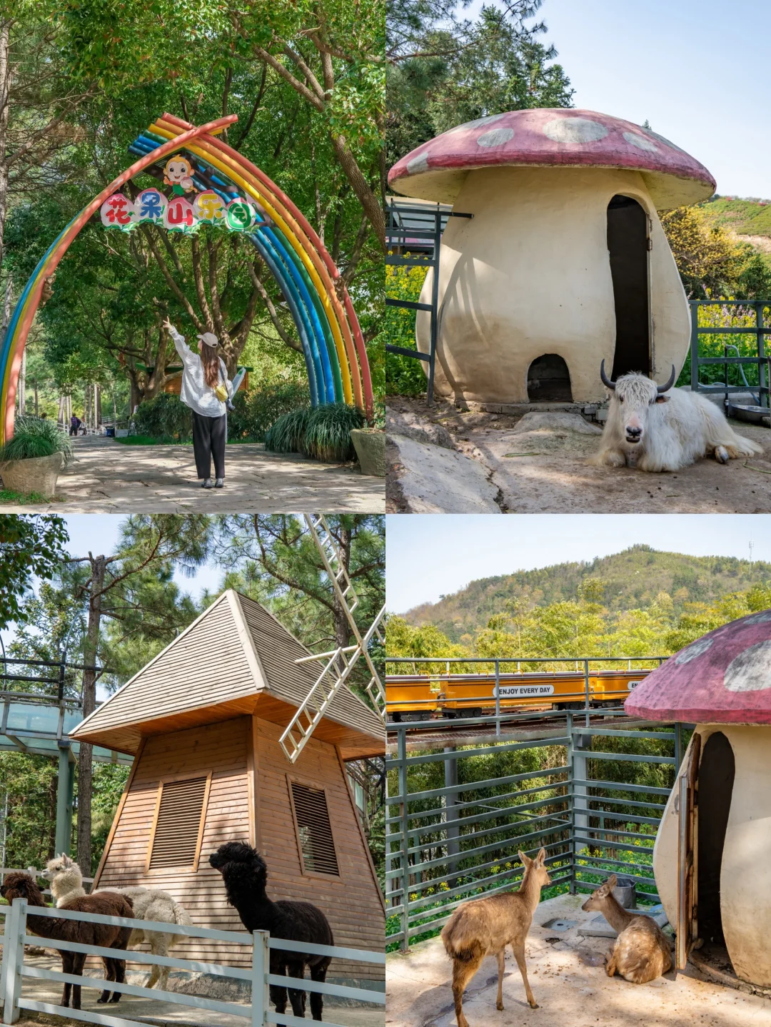 🌸千亩桃花坠入仙境｜城山沟乐园嗨翻天