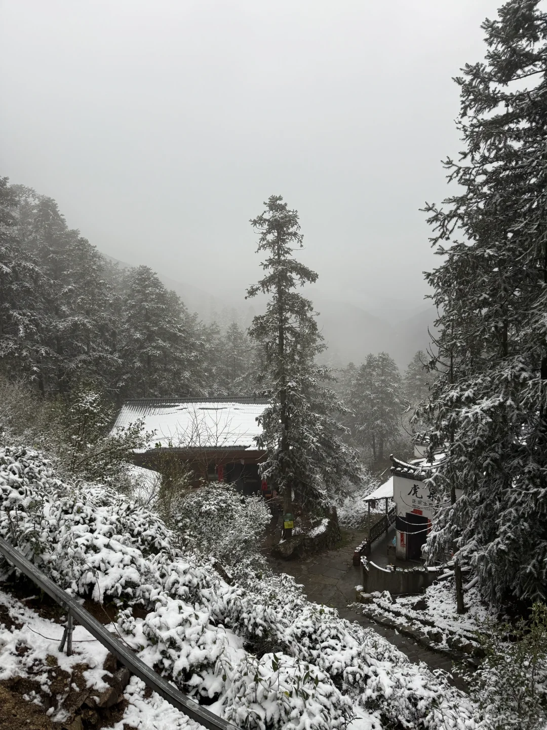 🏔️瑶里下雪啦❄️(๑･ω･)