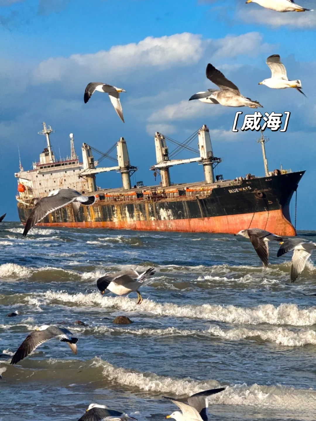 ‼️邯郸石家庄出发丨春天🌸出游好去处