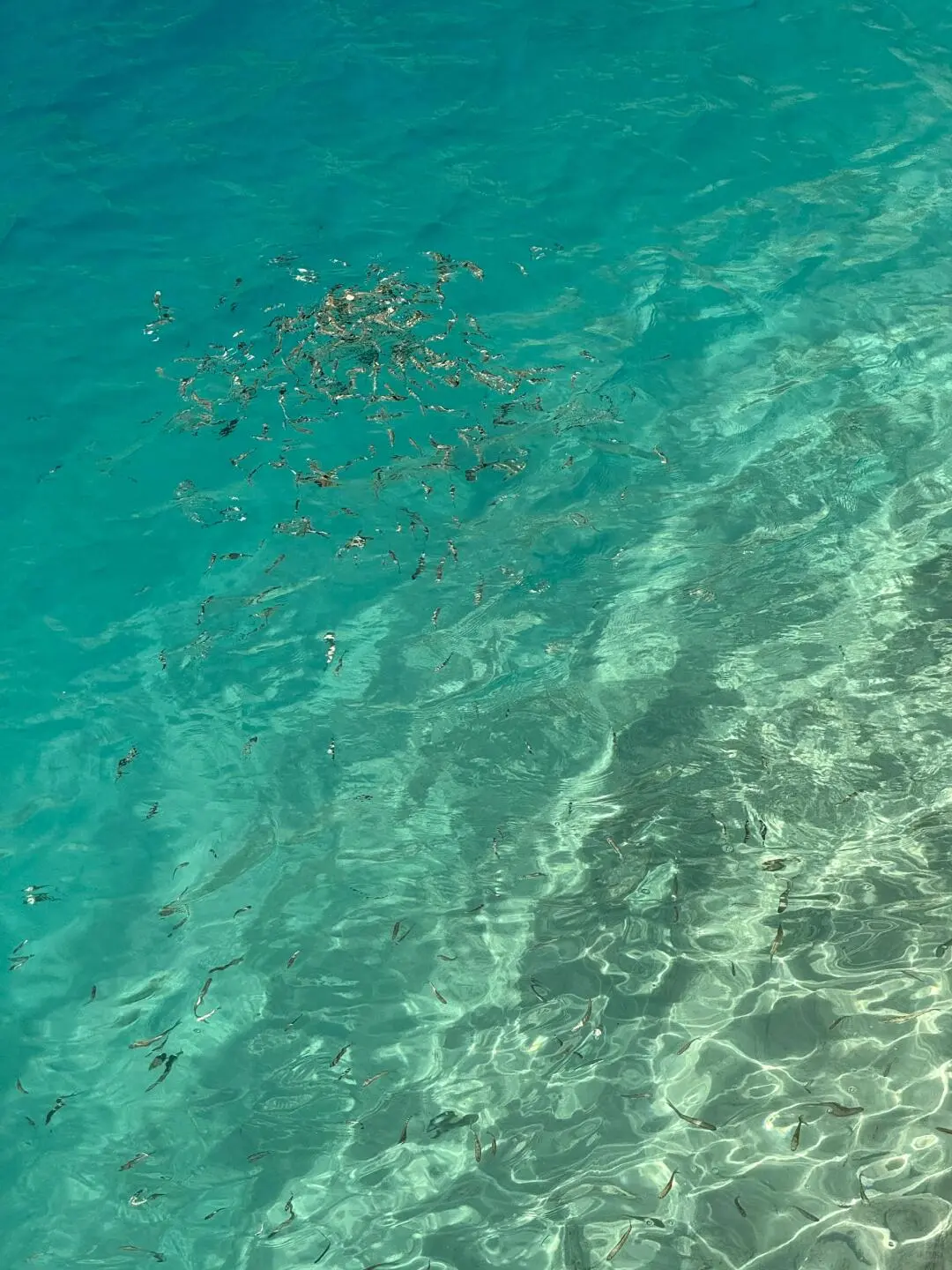 九寨沟旺季要到来，给未出行的姐妹提个醒⚠️