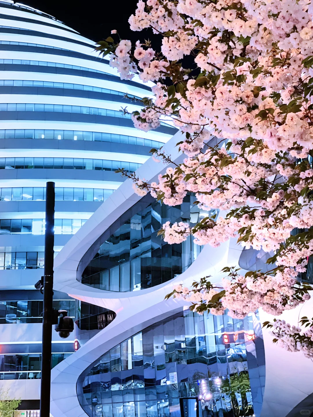 夜游北京🌷4月这里我愿称之郁金香最佳机位