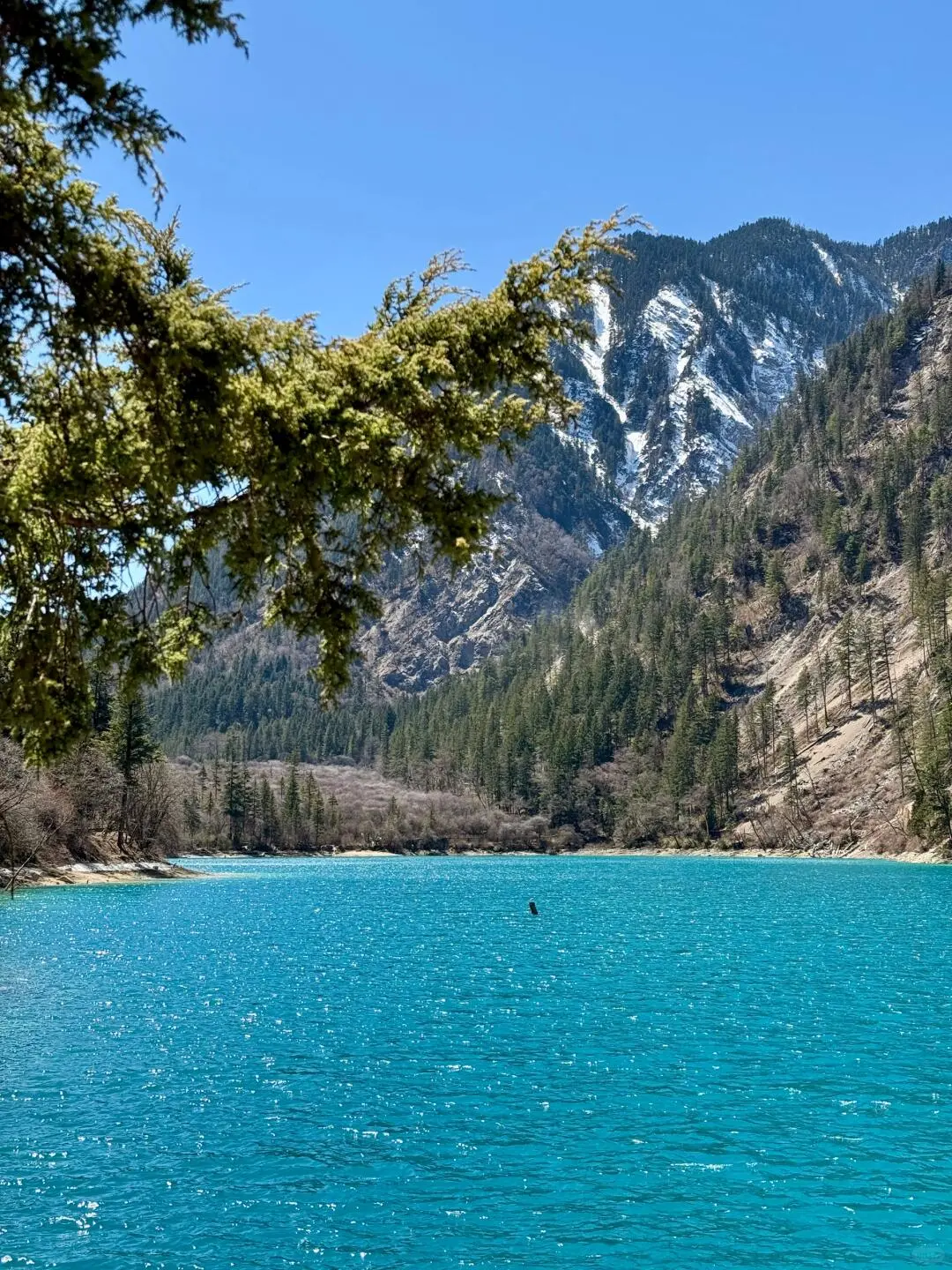 九寨沟旺季要到来，给未出行的姐妹提个醒⚠️