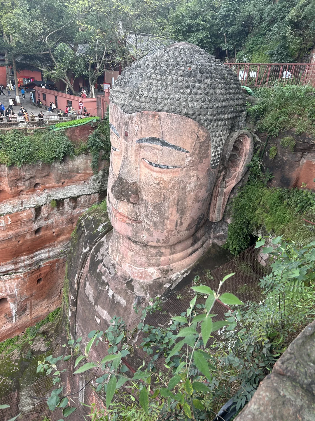 乐山大佛,峨眉山都去了,来听听我的个人感受