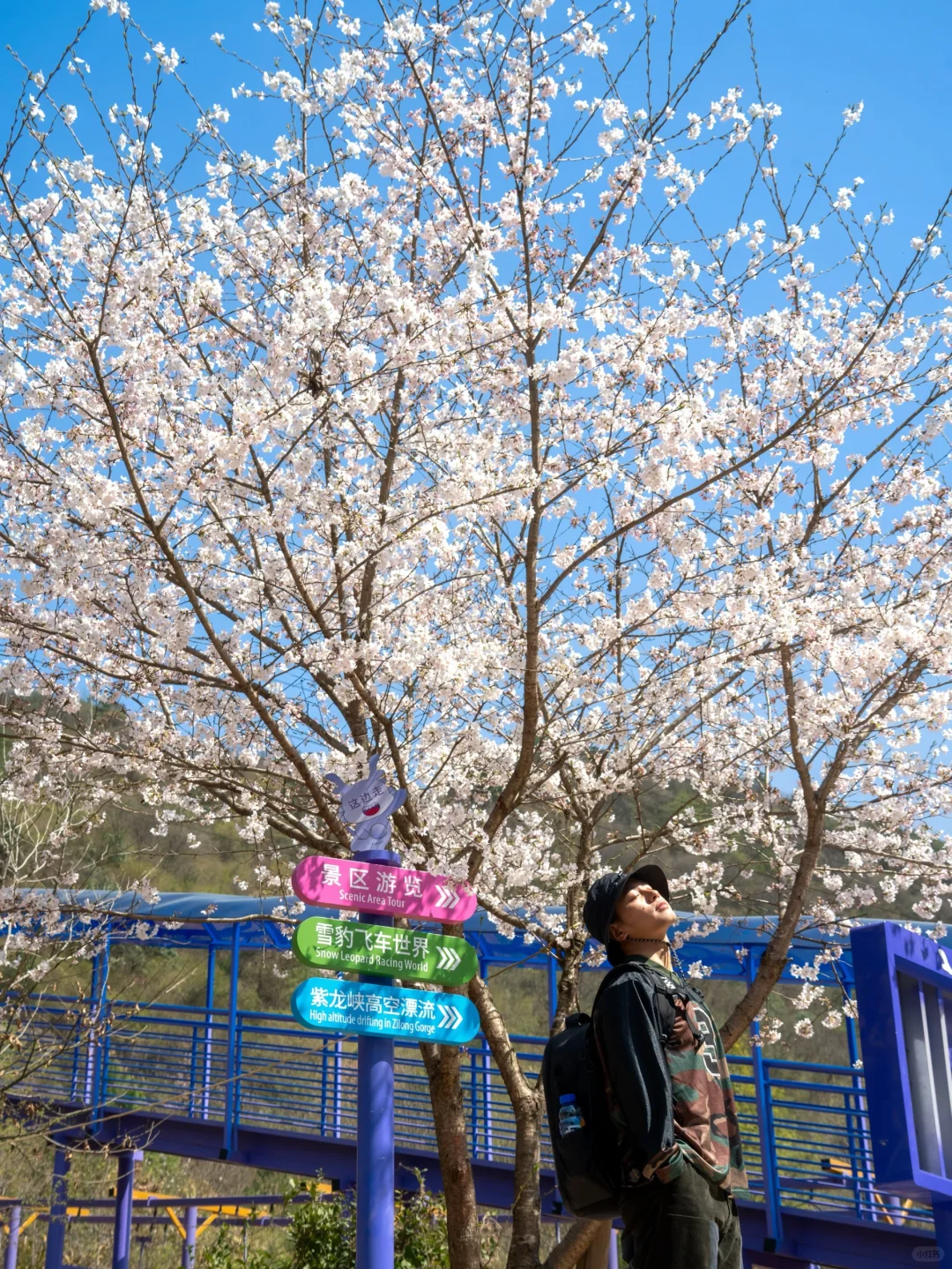 杭州上春山⛰️去大山深处赴一场天空之约☁️