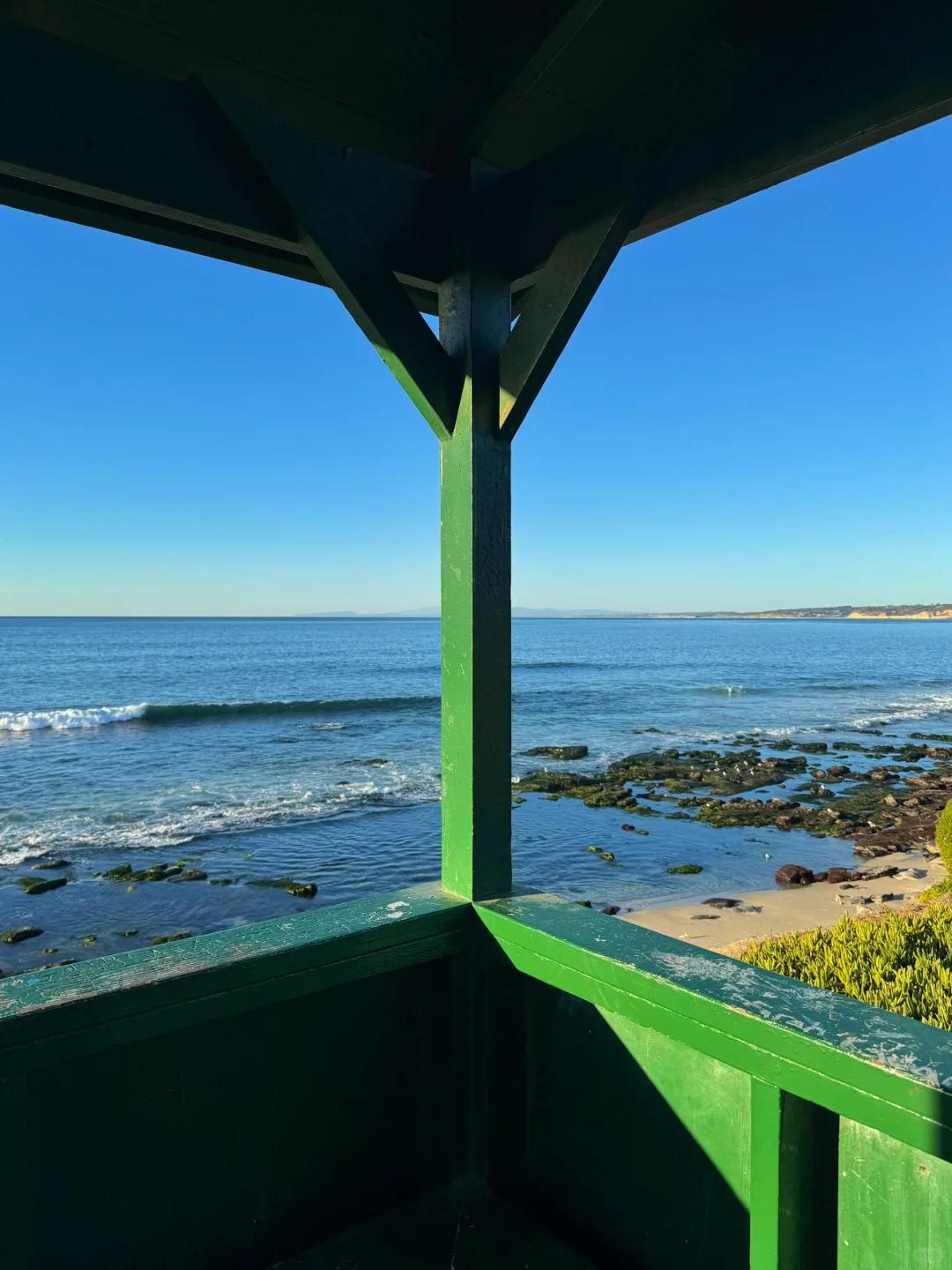 美国｜圣地亚哥La Jolla Cove🦭海狮太可爱啦