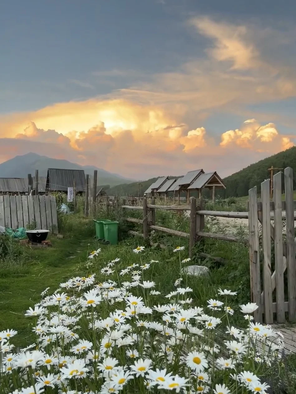💬“新疆的辽阔，是连风都自由的地方。”