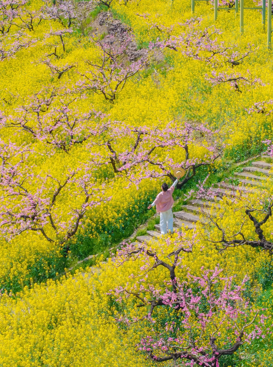 不在婺源，在湖州，坐上开往春天的漫画小火车