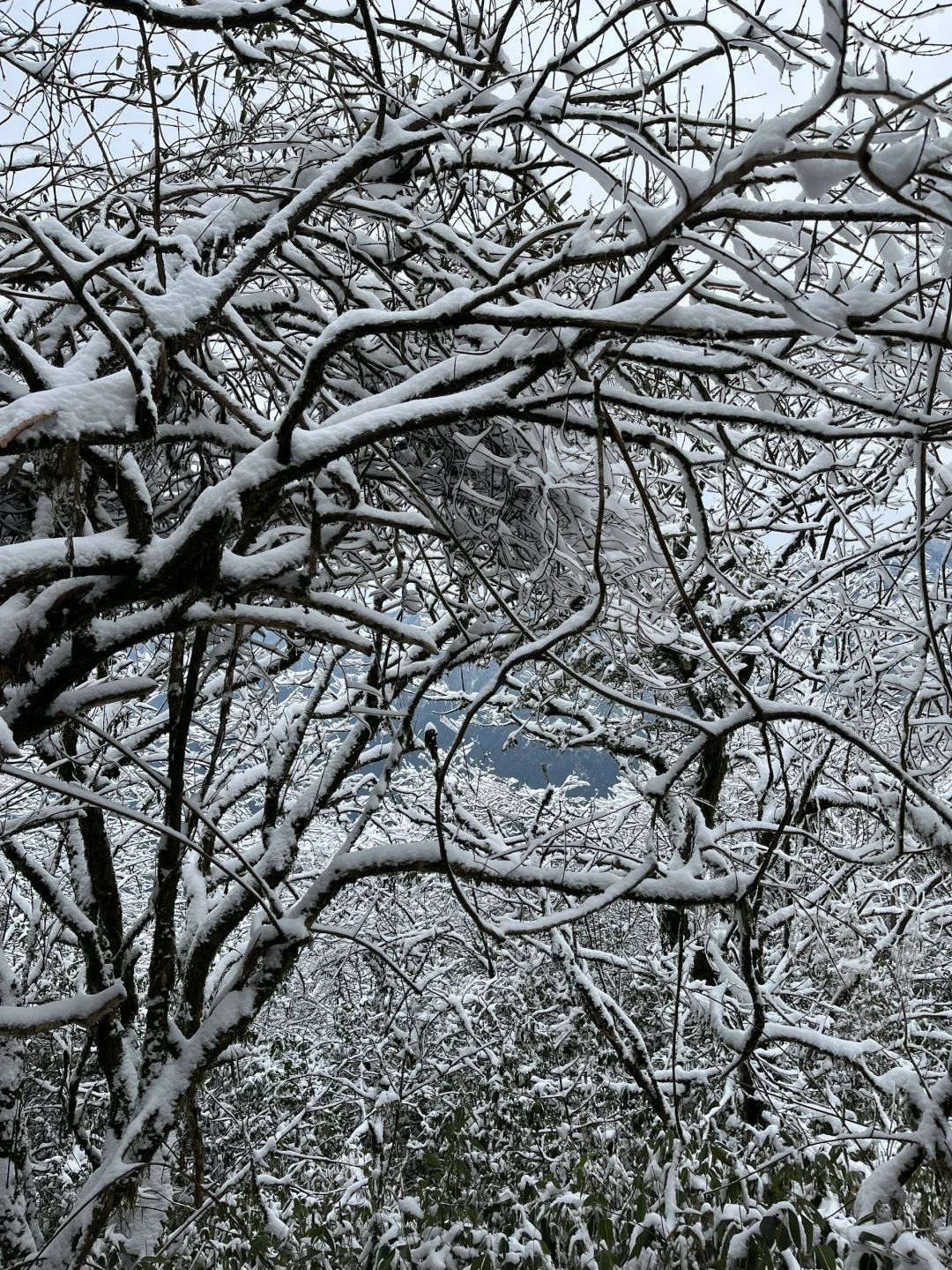 贵州梵净山，运气爆表的雪景高山