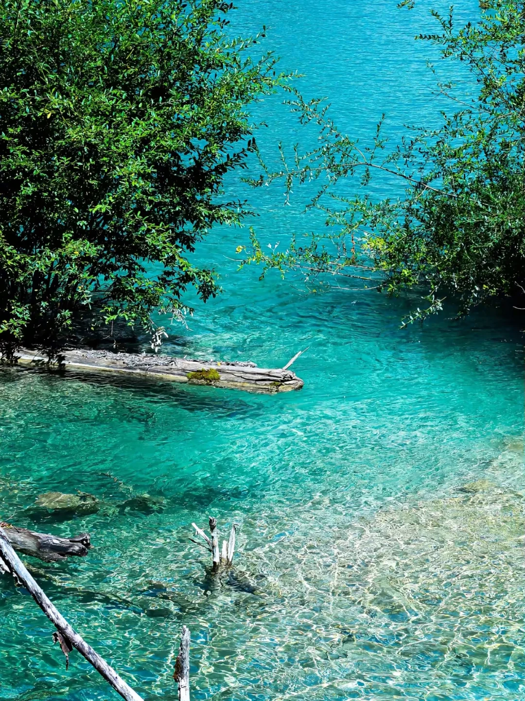 原图直出的人间仙境，不愧是5A级景区天花板