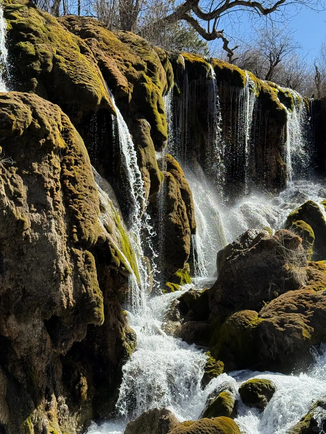 九寨沟旺季要到来，给未出行的姐妹提个醒⚠️