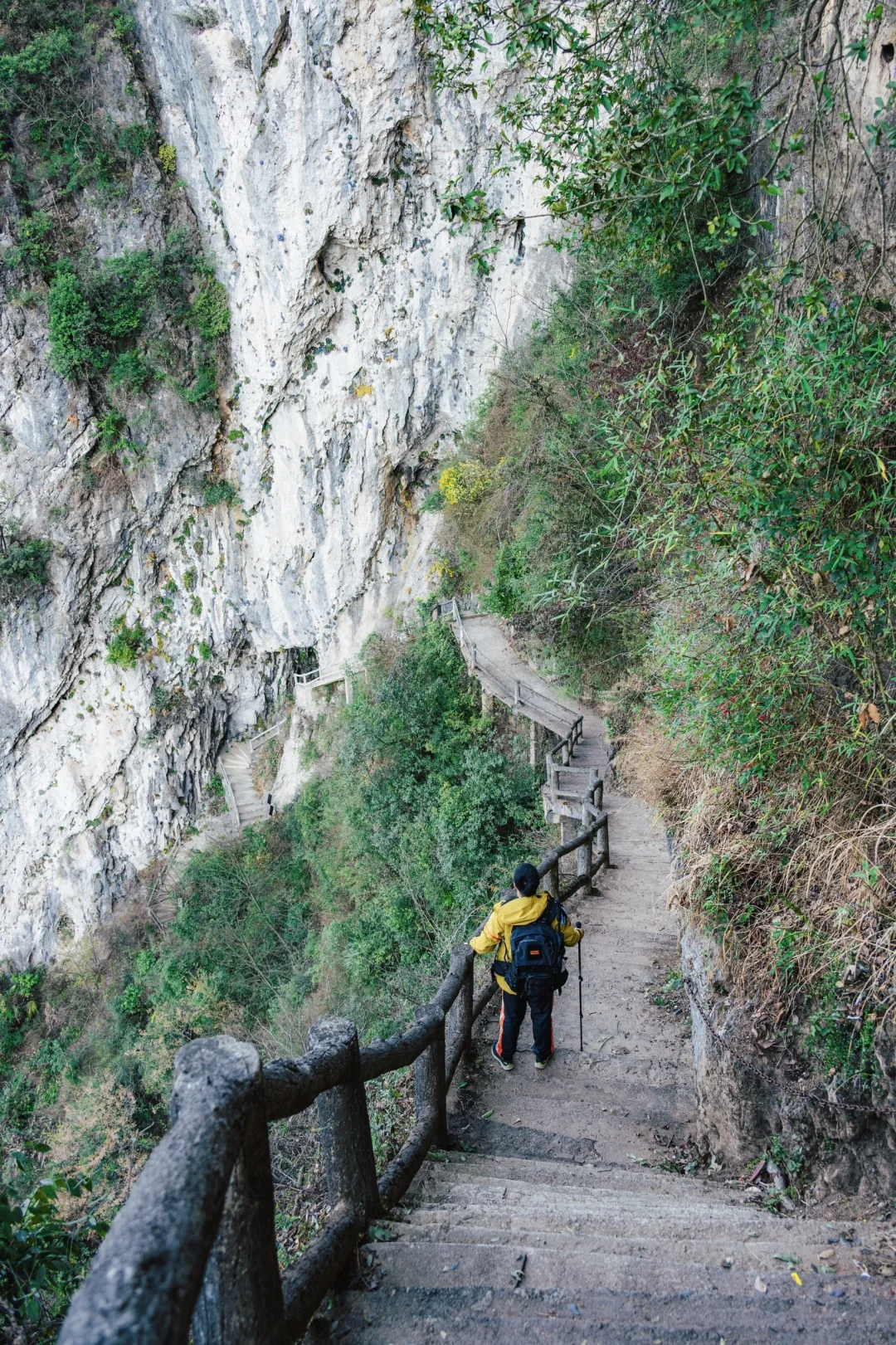 四川春日徒步天花板!爬悬崖天梯赏辛夷花海