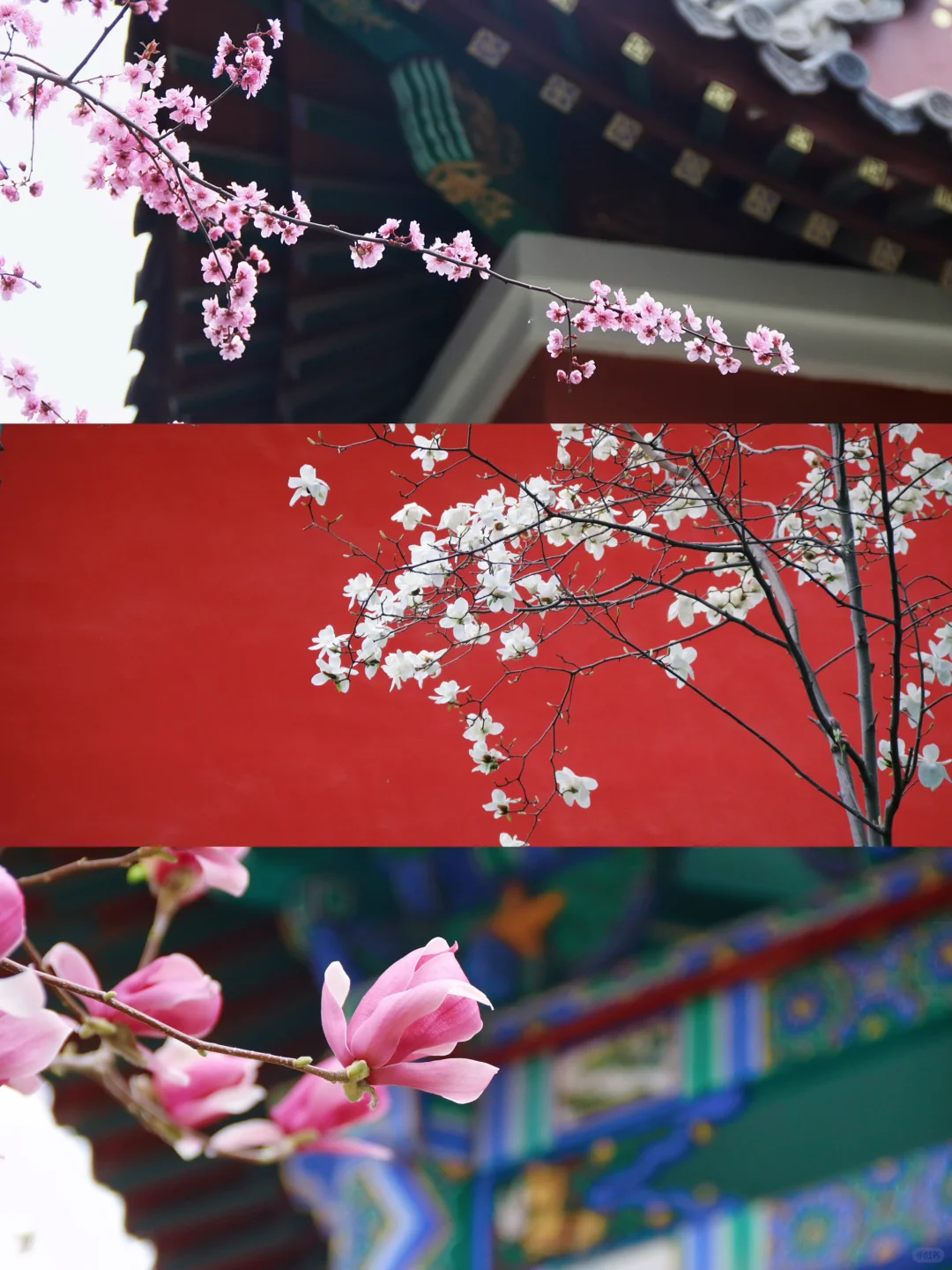 邯郸只有这里配的上“春和景明”