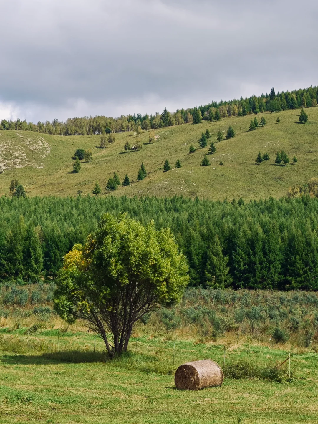 📍阿尔山“被大兴安岭包围的小镇”