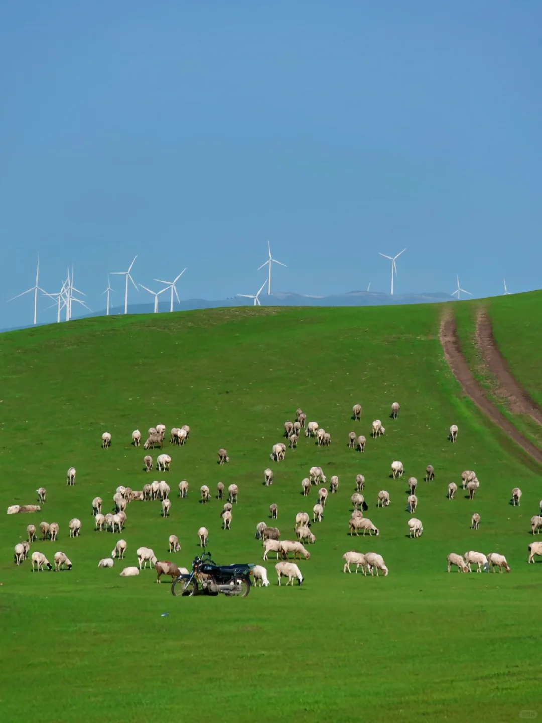 🚗《国家地理》评选出50个旅游打卡地🙋
