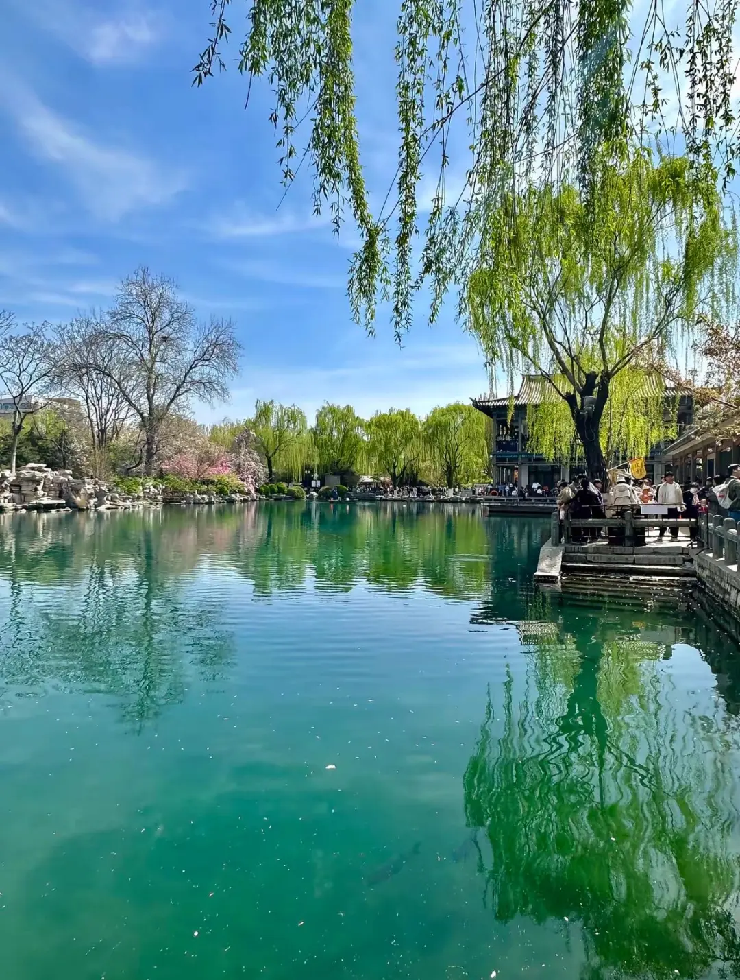 济南Citywalk保姆级攻略🚶♀️本地人私藏的