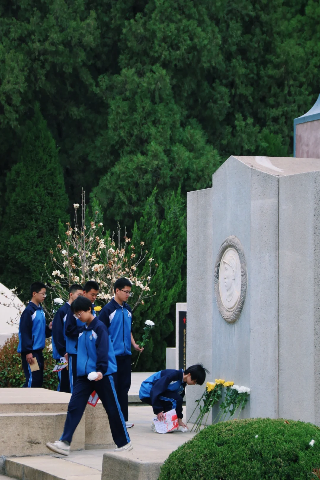 邯郸只有这里配的上“春和景明”