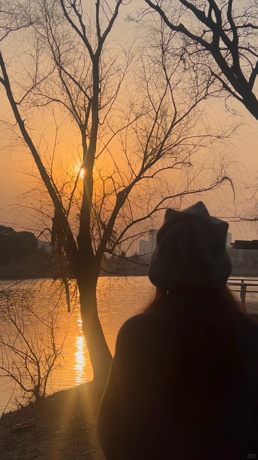 要一起看日落吗