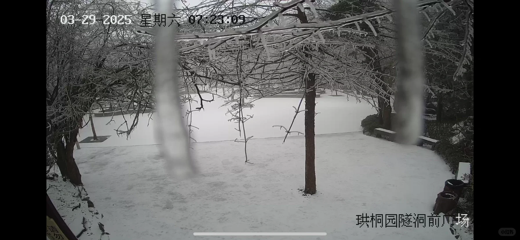 张家界景区实况2025年3月29日